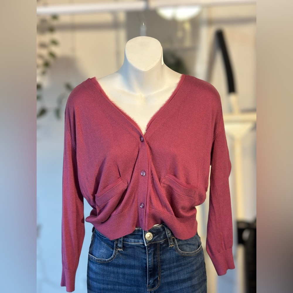Ann Tayler Long sleeve button down V cut raspberry shirt size large